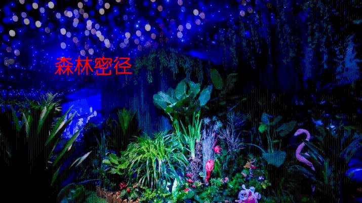 曲奇烤出来是软的 曲奇刚烤出来是软的吗游戏画面
